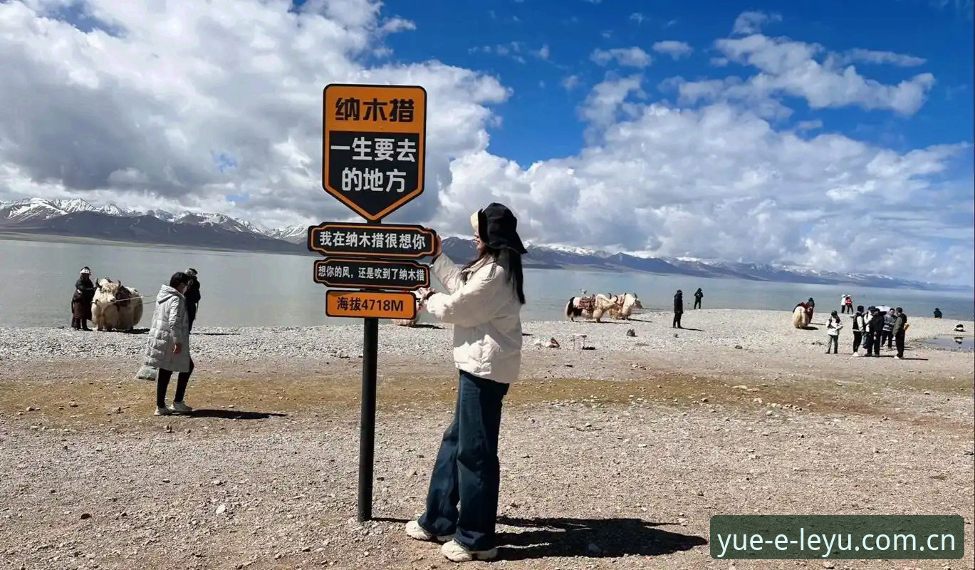 一位生活观察家的选路心得：找到那片属于你的新天地